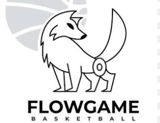 FLOWGAME EN COLON